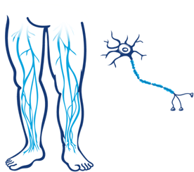 Nerves and nerves in legs neuropathy icon